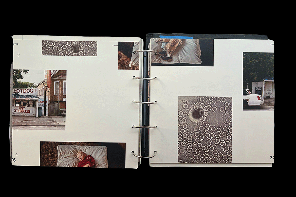 Project Image 7