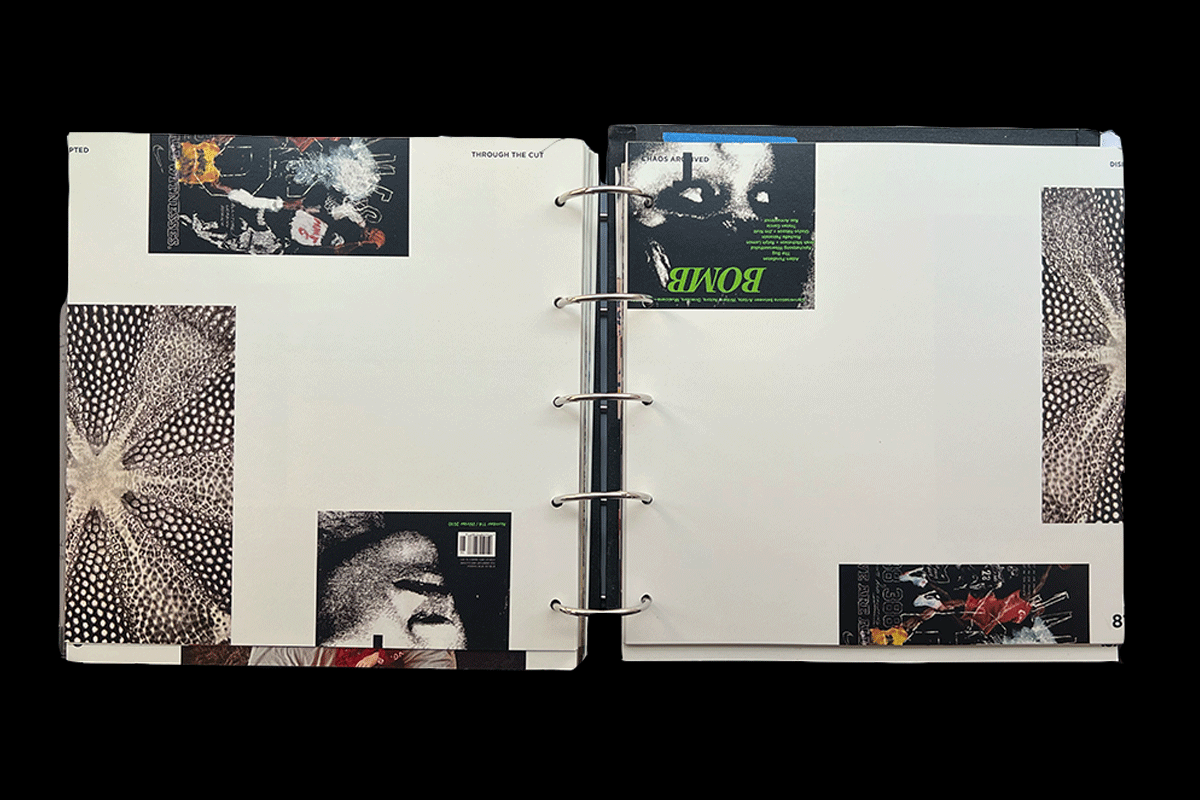 Project Image 3