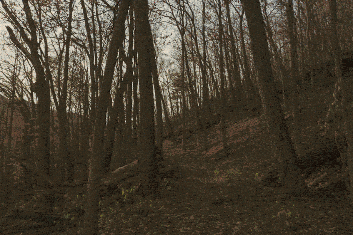 Project Image 1